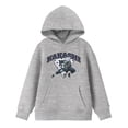 thumbnail image 5 of Naruto Classic Kakashi Fighting Stance Youth Heather Gray Graphic Hoodie-Small, 5 of 7