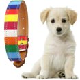 thumbnail image 1 of Wdftyju Collar de Cuero Liso Ajustable Colorful Rainbow Pet L-106593.03 Wdftyju 5td1ek2ar4ny8vl0D01, 1 of 6