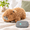 Capybara, variant on 20" 4 Pound Black Cat Weighted Stuffed Animal with Unscented Heatable/Coolable Pad