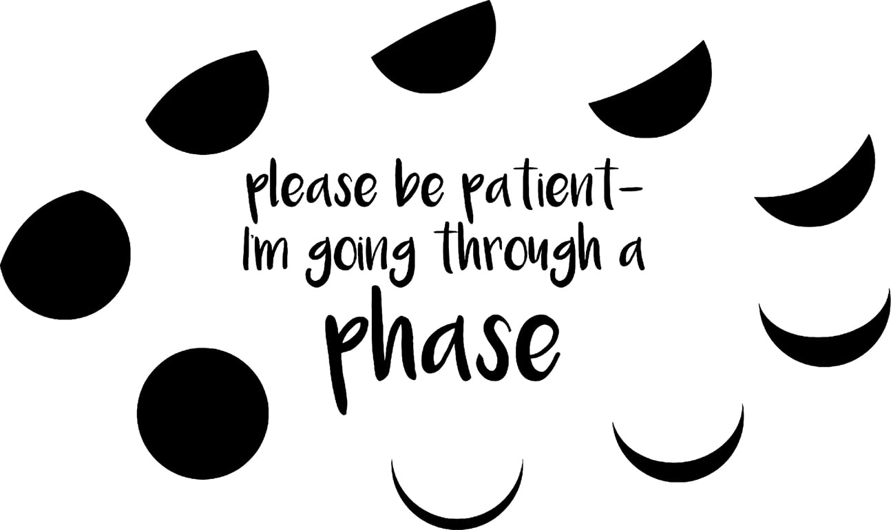 Please By Patient- Im Going Through A Phase Funny Moon Lunar Wall Decals  for Walls Peel and Stick wall art murals Black Small 8 Inch 