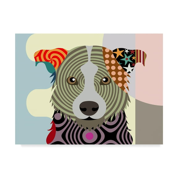 Trademark Fine Art 'Border Collie' Canvas Art by Lanre Adefioye
