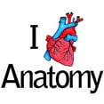 thumbnail image 2 of CafePress - Heart Anatomy Mug - 11 oz Ceramic Mug - Novelty Coffee Tea Cup, 2 of 4