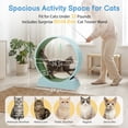thumbnail image 6 of UBesGoo 31in Cat Exercise Wheel, Safe PP Treadmill with Green Mat & Free Teaser Wand, Light Blue, 6 of 13