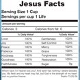 thumbnail image 3 of CafePress - Jesus Facts T Shirt - Fitted T-Shirt, Vintage Fit Soft Cotton Tee, 3 of 4