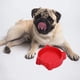 thumbnail image 5 of Tazón de comida para gatos, alivia la fatiga de los bigotes, tazones de alimentación antideslizantes para gatos, tazones de comida para gatos poco profundos MFZFUKR BST3009063-1, 5 of 6