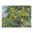 thumbnail image 2 of Awypu Yellow Flowers Wood Puzzle Challenging Difficult Puzzles for Adults 500 PCS, 2 of 4