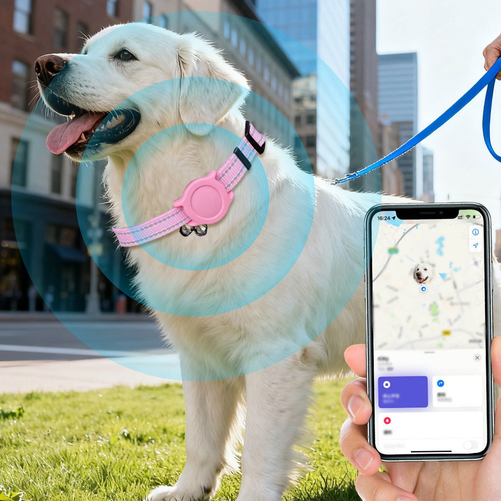 GPS Pet Locator Tracker with Adjustable Collar for Dogs & Cats, Long Battery Life Real-Time Tracking Device, Compatible with iOS Android for Anti-Lost Pet Location Monitoring