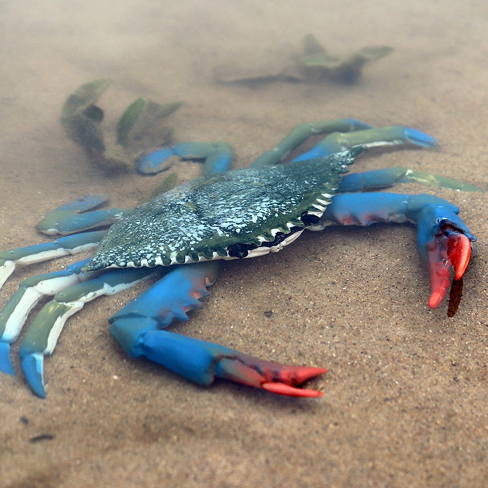 Warmtree Simulated Animals Figurines Realistic Model Plastic Animals Figure  (Hermit Crab)