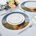 thumbnail image 6 of IAUYY Set of 4 Round Placemats for Dining Tables Heat-Resistant and Wear-Resistant DIY Printing Design Table Placemats，Applicable for Christmas Covered in B, 6 of 7