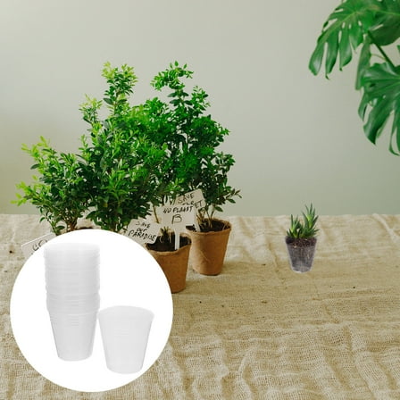 Soimiss 50Pcs Clear Plastic Plant Pots for Home Use Suitable for Succulent and Small Plants