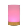 NBG Friendship LED Color Changing Table Lamp with AC Cord, Touch