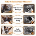 thumbnail image 3 of Bozal para perros, bozales cubiertos de malla suave para perros pequeños, medianos y grandes, bozal de protección de cebo envenenado con correas ajustables, 3 of 4