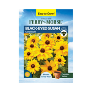 Ferry-Morse 120MG Black-Eyed Susan Goldilocks Perennial Flower Seeds Full Sun