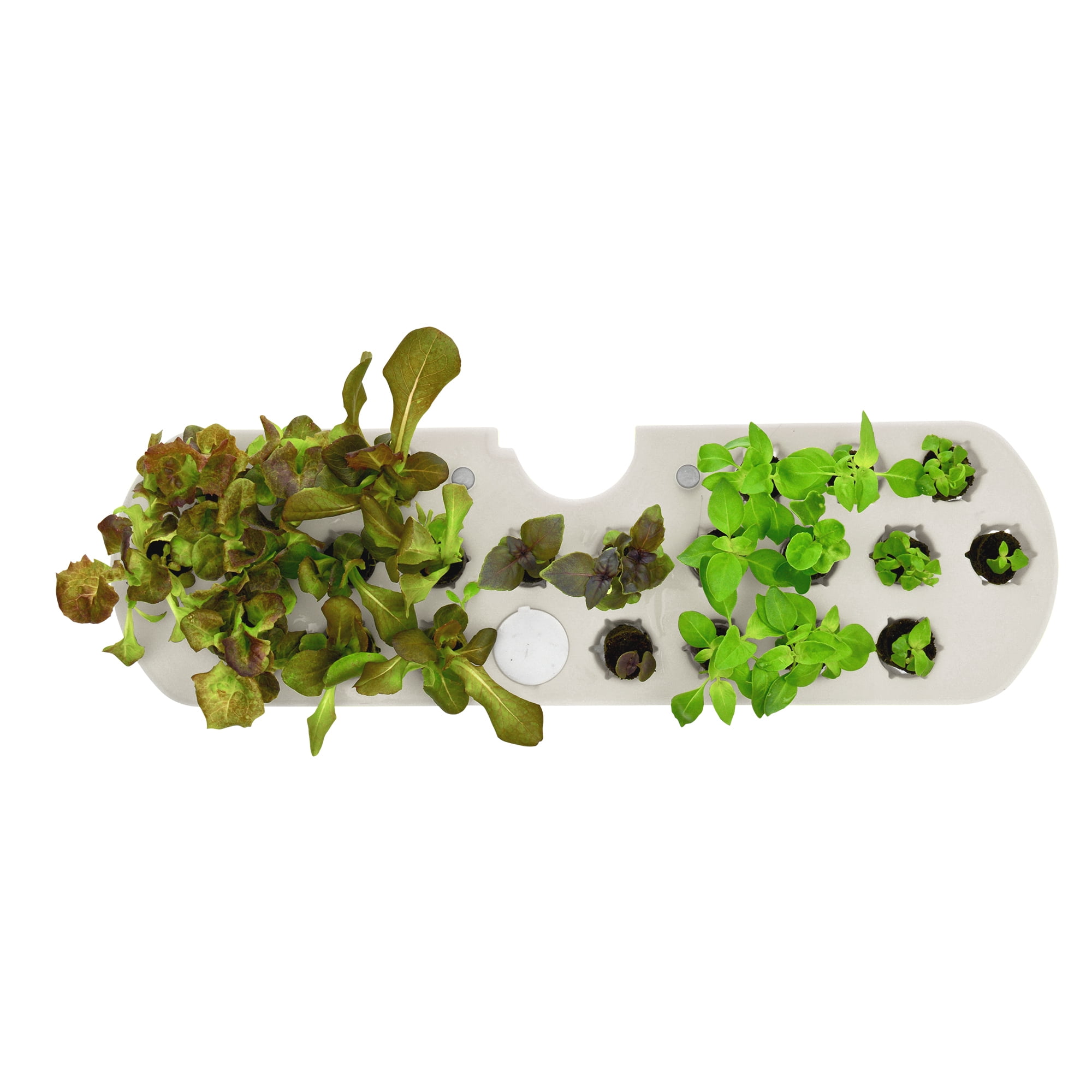 AeroGarden Seed Starting System For AeroGarden Harvest Slim Models