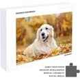 thumbnail image 5 of 1000 PCS Jigsaw Puzzles, 29.5" x 19.7" Artwork Gift for Adults Teens Golden Retriever Laying on Autumn Leafs Wooden Puzzle Games, 5 of 6