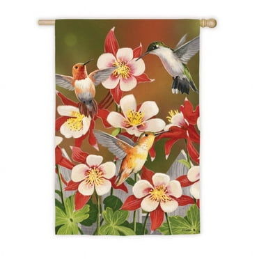 Flag, Sub, Reg, Flurry of Hummingbirds