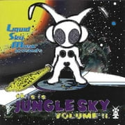 This Is Jungle Sky Vol.II