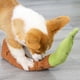 thumbnail image 5 of Juguete Para Masticar Cachorros, Juguete Para Tirar De Perros Con Forro Para Entrenamiento, 5 of 8
