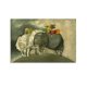 thumbnail image 1 of Graciela Rodo Boulanger Impresión de elefantes Impresión fotográfica Arte Pintura Lienzo Póster Decoración para el hogar Dormitorio Decoración moderna Pósteres Regalos 24x36 pulgadas (60x90 cm), 1 of 6