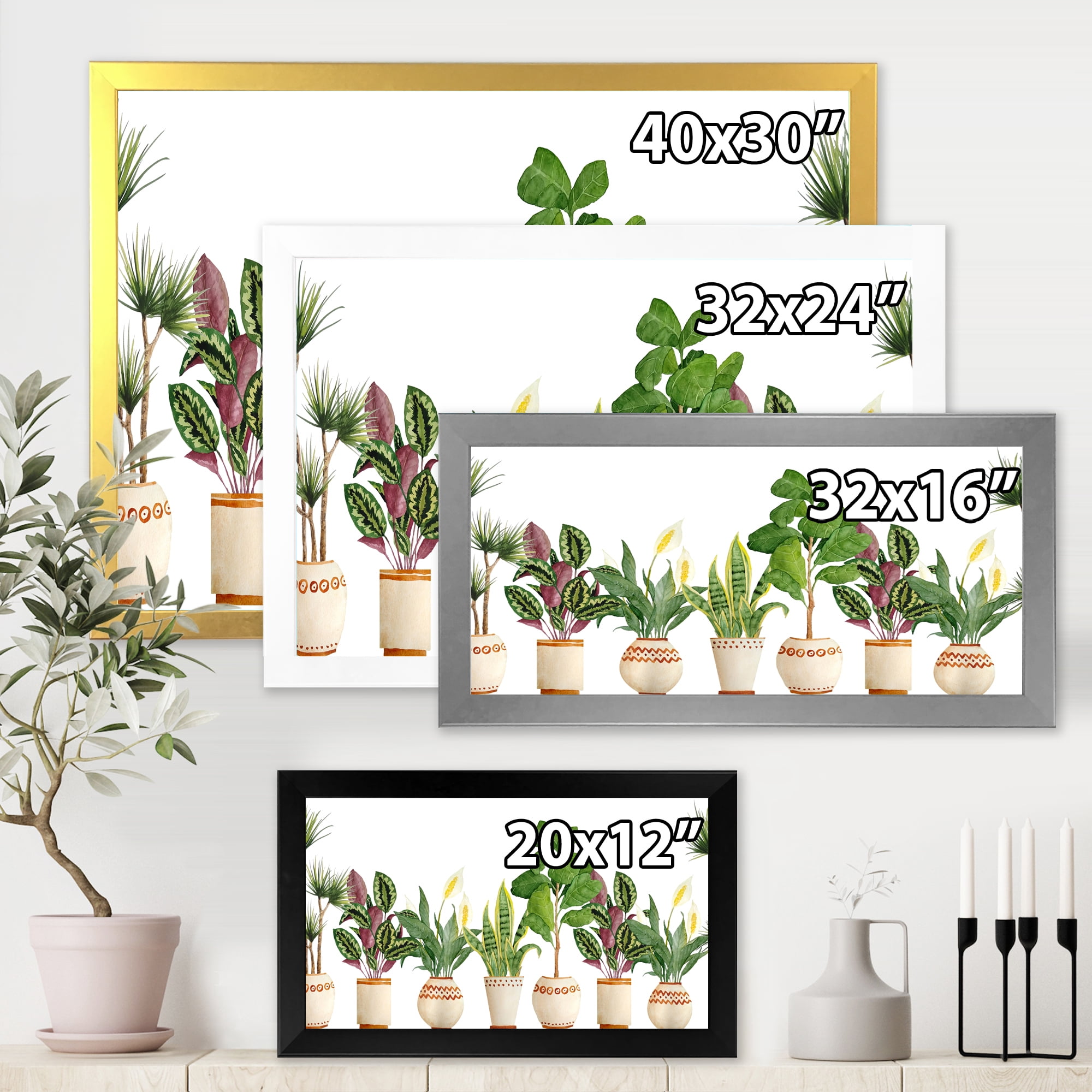 Designart 'Trio of Houseplants Sanseviera Snake Plants On White' Farmhouse Framed Art Print