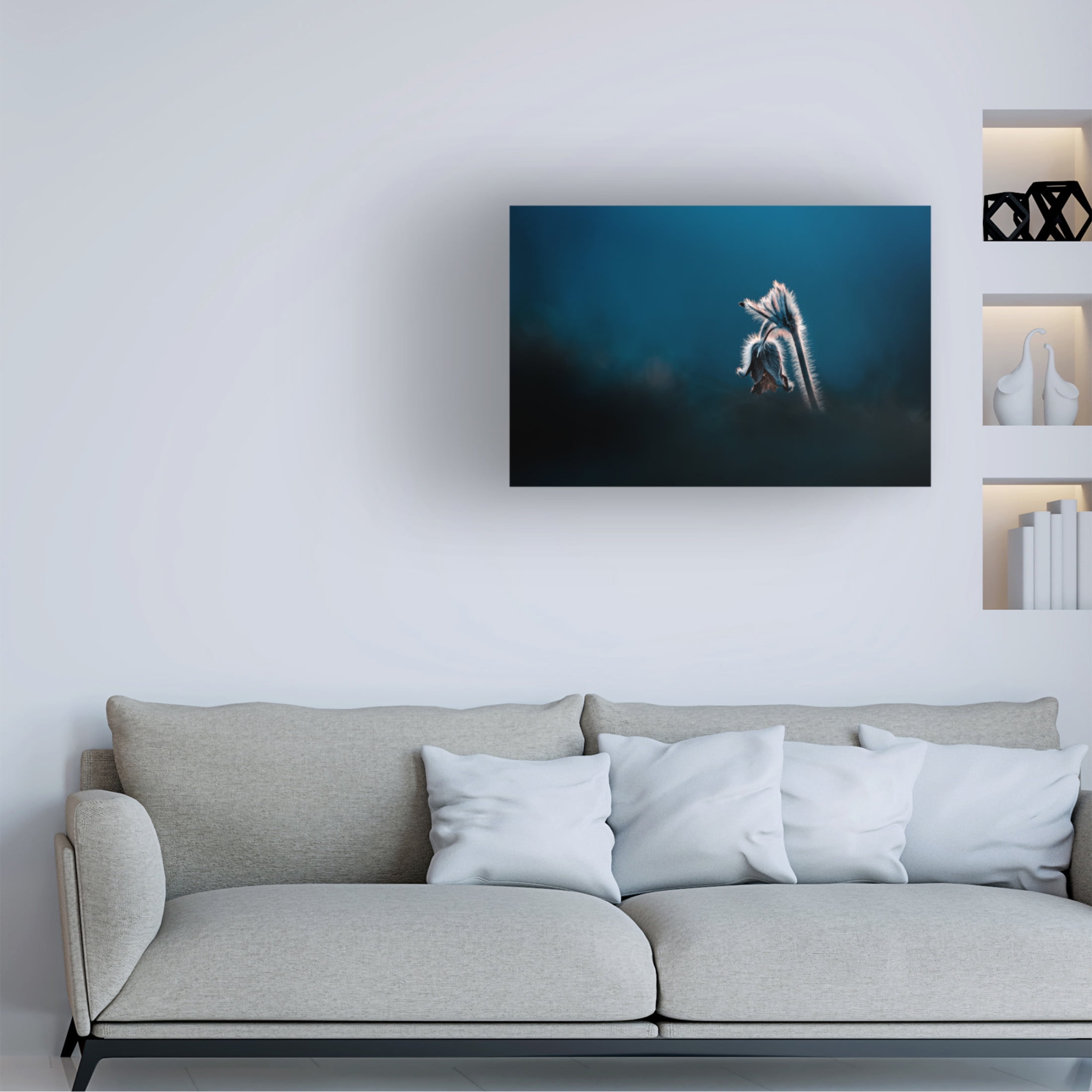 Trademark Fine Art Jan Rozehnal  Pulsatilla pratensis Canvas Wall Art