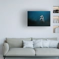 thumbnail image 2 of Trademark Fine Art Jan Rozehnal  Pulsatilla pratensis Canvas Wall Art, 2 of 4