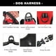 thumbnail image 4 of Arnés para perros PHOEPET, chaleco reflectante con clip frontal y asa, rojo M, 4 of 7