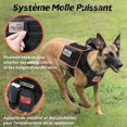 thumbnail image 4 of Arnés táctico para perros L negro, chalecos de anillo para perros de trabajo militar, arneses para perros de entrenamiento militar sin tensión, con clips de correa para senderismo kaili Sencillez, 4 of 4