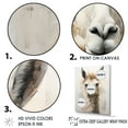 thumbnail image 3 of Designart "Portrait Of The Furry Llama I" Animals Llama Floater Framed Wall Art Living Room, 3 of 5
