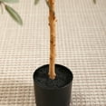 thumbnail image 4 of 6 ft Artificial Olive Plants with Realistic Leaves and Natural Trunk, Silk Fake Potted Tree with Wood Branches and Fruits, Faux Olive Tree for Office Home Decor, 4 of 9