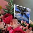 thumbnail image 3 of 3drose, Maui, Hawaii, Usa., 12 Greeting Cards with Envelopes, 3 of 7