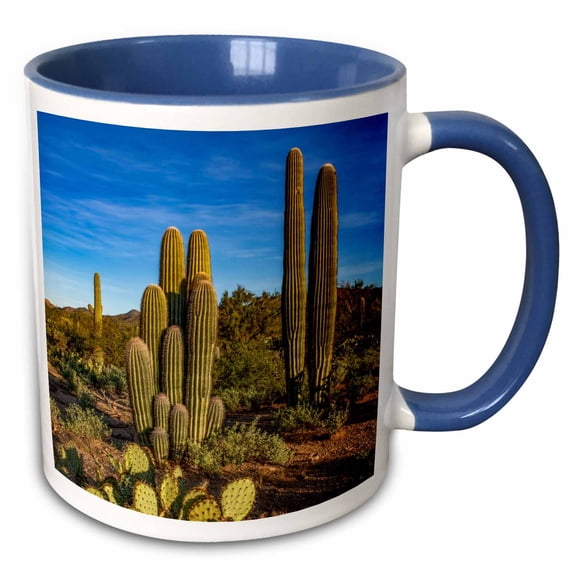 3drose, Usa, Arizona, Tucson Mountain Park, 11oz Two-tone Blue Mug