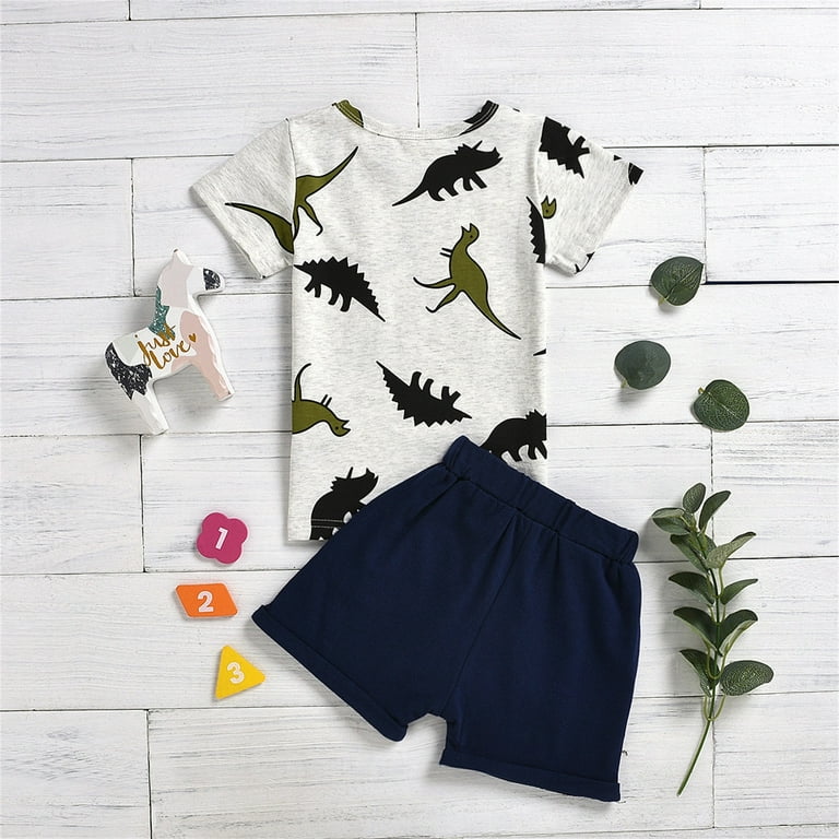 Kids Toddler Baby Girls Spring Summer Print Dinosaur Cotton Short Sleeve  Tshirt Shorts Outfits Clothes Baby Girl Name Brand Clothes Clothes for Girls