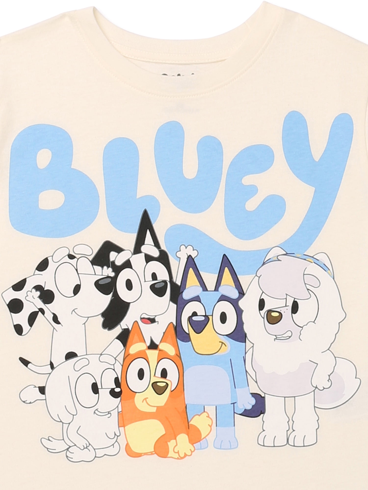 Bluey Toddler Graphic Crewneck Tee with Short Sleeves, Sizes 12M-5T