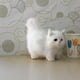 thumbnail image 5 of Peluche esponjoso gato peluche juguete Navidad cumpleaños regalo, 5 of 5