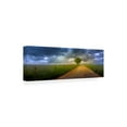 thumbnail image 4 of Trademark Fine Art 'The Road Home' Canvas Art by Doug Cavanah, 4 of 4