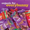 thumbnail image 6 of Annie's Organic Chewy Granola Bars, Peanut Butter Chocolate Chip, 6 Bars, 5.34 oz. (Pack of 12), 6 of 9