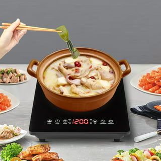 Techwood Hot Plate Electric Double Burner 1800W Portable Burner for Cooking  with Adjustable Temperature & Stay Cool Handles, Non-Slip Rubber Feet,  Black Stainless Steel Easy To Clean 