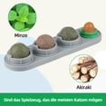 thumbnail image 2 of ZheElen Healthy Kitten Teeth Cleaning Toys Easy Installation For Dental Care Catnip Ball For Cats, 2 of 6