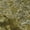 Brown, variant on Chantille ACN565 Beige 10 x 14 Rug