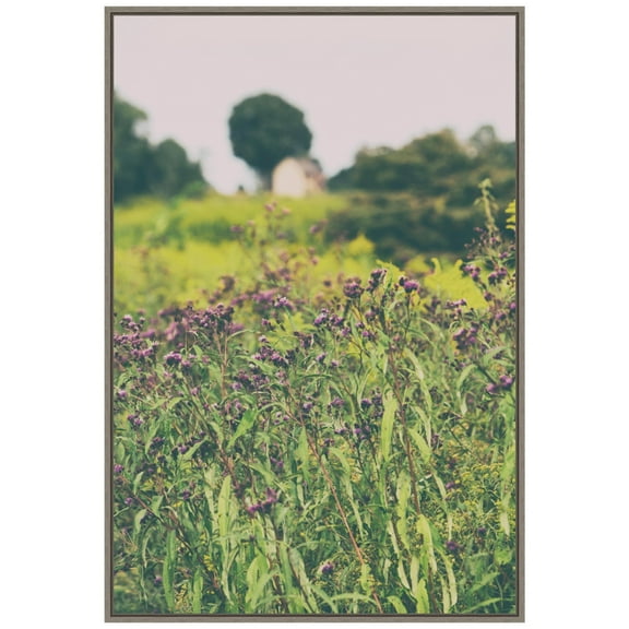 Amanti Art Roadside Flowers Framed Canvas Wall Art Print