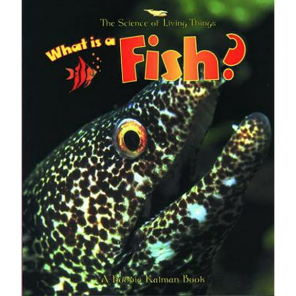 Pre-Owned What Is a Fish? (Paperback) 0865058946 9780865058941