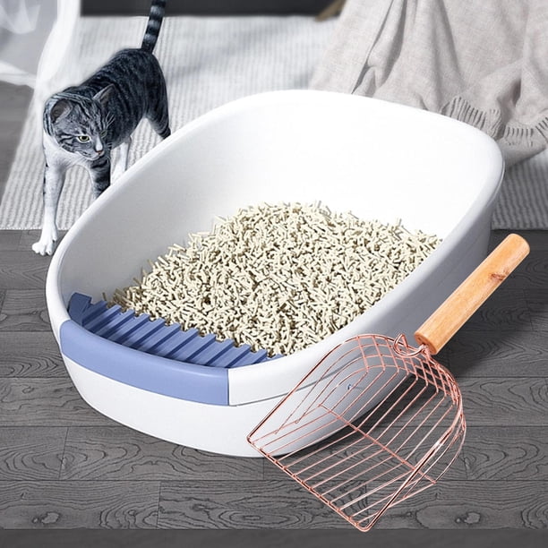 Caja de arena Scooper Pet Sifter Scooper Pantalla de malla Cuchara fecal Cuchara de arena portátil para gatos con gancho Suministros para mascotas par , con gancho, 25cmx11.5cmx4.5cm Salvador Dali Recogedor de arena para gatos