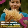 thumbnail image 3 of Sea Moss Gel – Elderberry 8oz Raw Wildcrafted Irish Sea Moss, Vegan Superfood, Essential Vitamins & Trace Minerals, Jam, Jelly & Spread Gifts, Made in the USA, 3 of 8