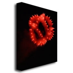 Trademark Art "Abstract Fireworks III" Canvas Art by Kurt Shaffer
