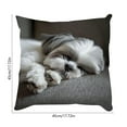 thumbnail image 3 of SIYTUAU Pet Photo Collection Faux Embroidery Pillow Cover For Sofa And Bed Polyester Fabric 17.72 X 17.72 Inches Decorative A, 3 of 7