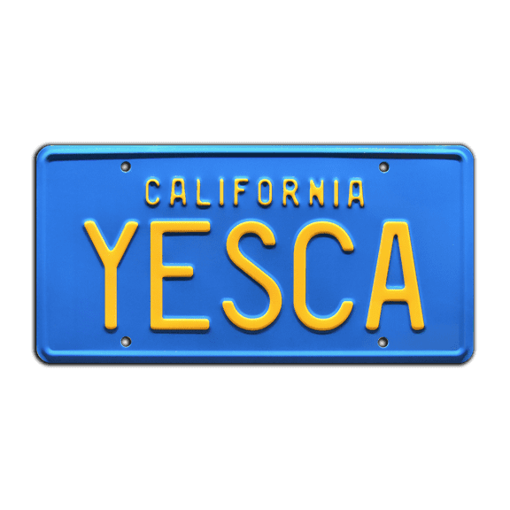Cheech & Chong’s Up in Smoke | Fiberweed Van | YESCA | Metal Stamped Replica Prop License Plate