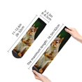 thumbnail image 4 of Rocae Squirrels Eating Peanuts On The Tree for Premium Adult Socks,Comfortable, Breathable, and Durable Socks, Perfect for Everyday Wear, 4 of 7