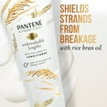 thumbnail image 4 of Pantene Sulfate Free Conditioner, Anti Breakage for Medium or Long Hair, Color Safe, 8.0 fl oz, 4 of 12