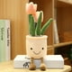 thumbnail image 2 of Peluche de tulipán suculento realista de 35 cm, juguete decorativo suave, muñeco de peluche con flores en maceta, almohada para niños y niñas, regalo, 2 of 9